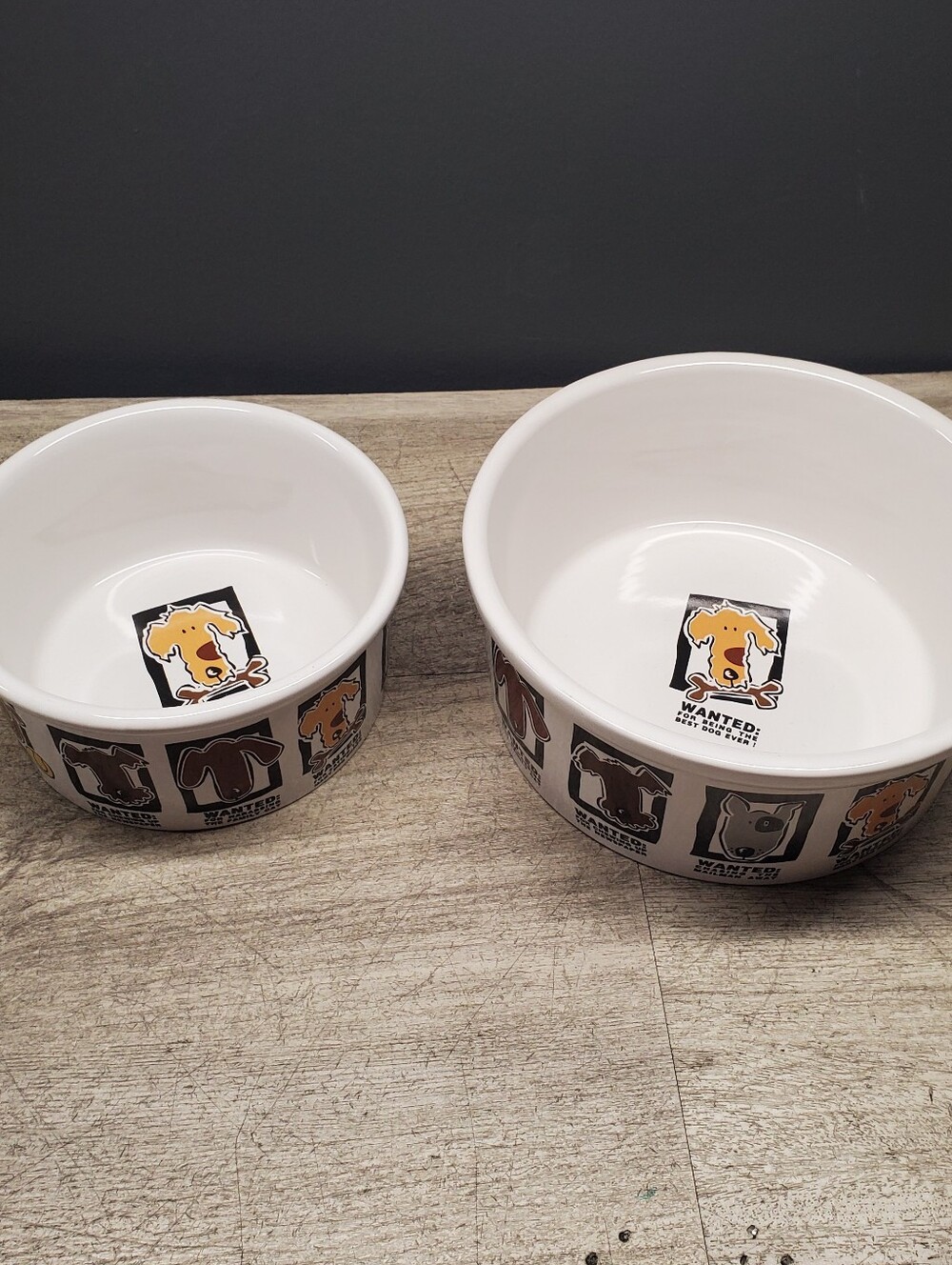 Set of 2 "Mug Shot" dog bowls